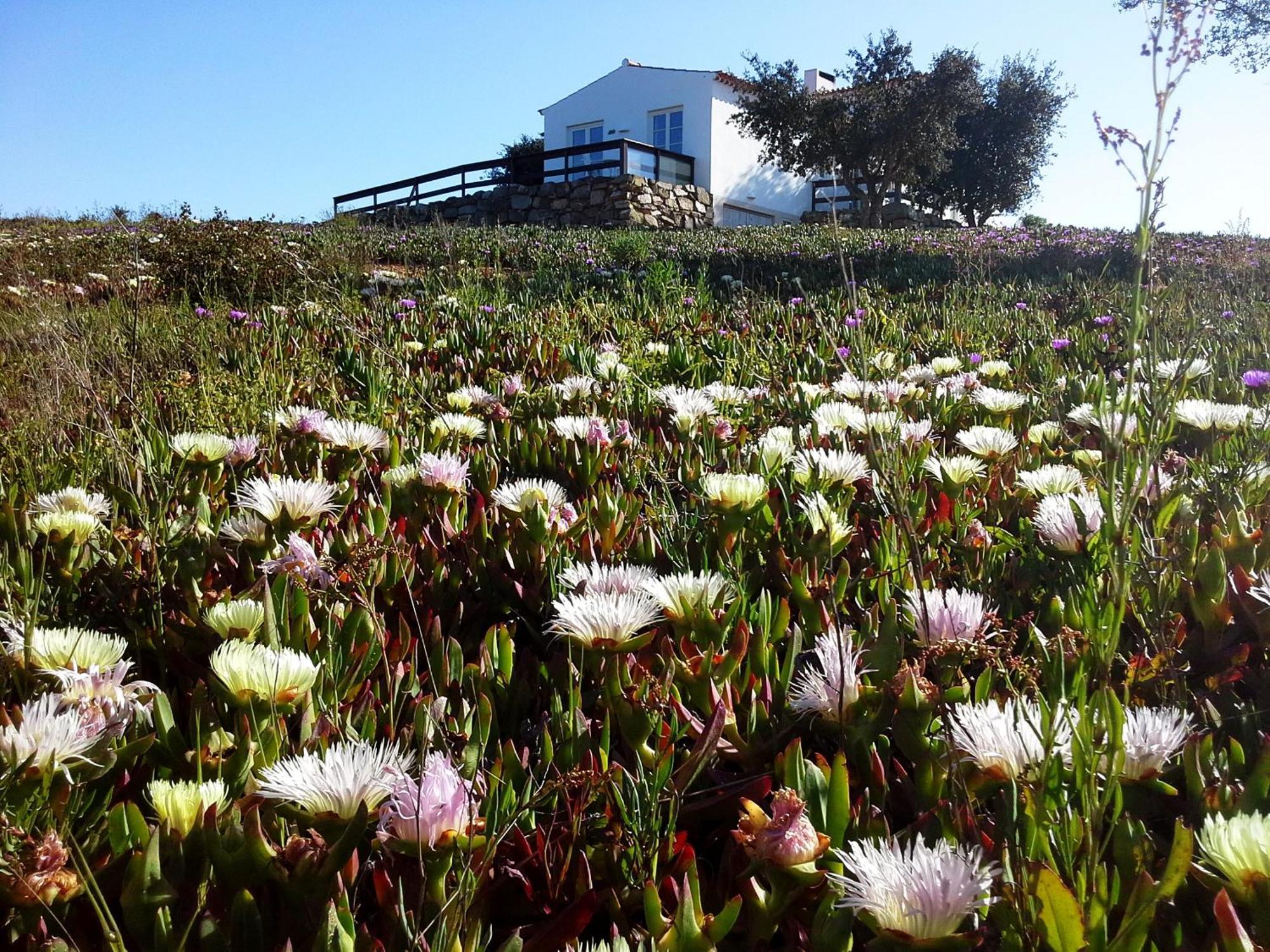 Maison d'hôtes Gotas De Luar Turismo Rural à Vila Nova de Milfontes Chambre photo