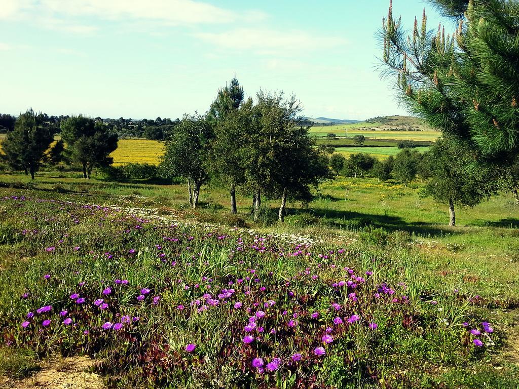 Maison d'hôtes Gotas De Luar Turismo Rural à Vila Nova de Milfontes Extérieur photo